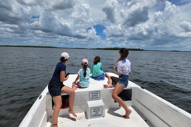Everglades National Park Naturalist Led Hike, 2 Boat Trips + More - Drive-by odds at Florida’s largest state park
