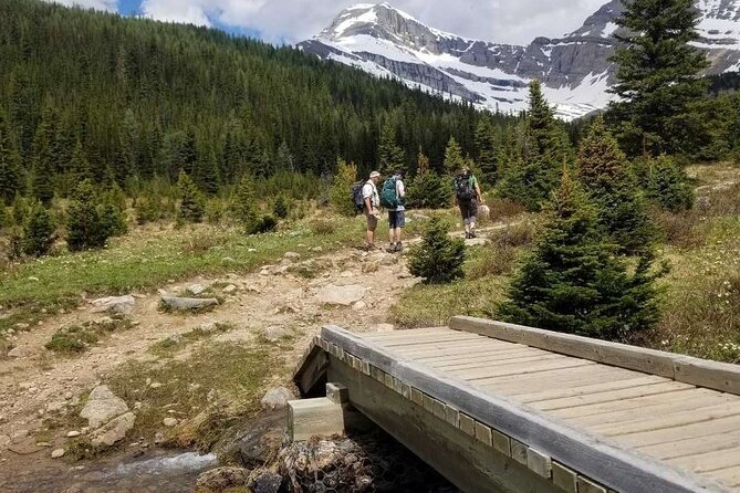 Exclusive Skoki Backcountry Guided Hiking in Lake Louise with Van Shuttle - Guides That Make It Click: Flora, Fauna, and a Safer Pace