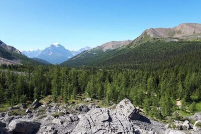 Exclusive Skoki Backcountry Guided Hiking in Lake Louise with Van Shuttle - The Ride In: What the Fire Road Access Really Does for You
