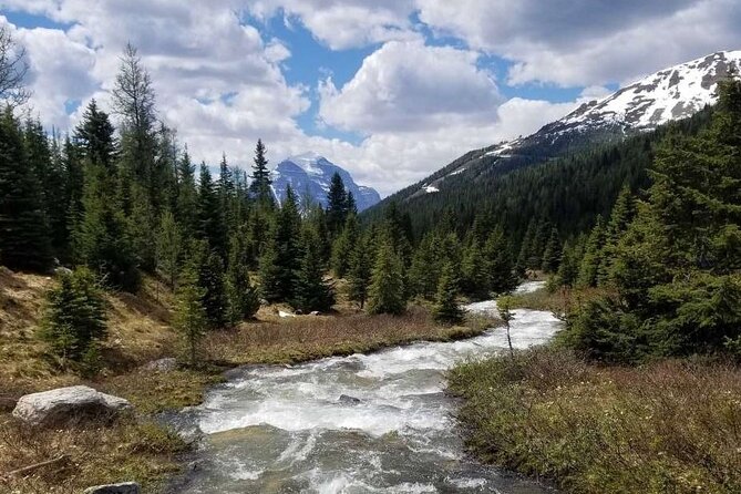 Exclusive Skoki Backcountry Guided Hiking in Lake Louise with Van Shuttle - Price and Value: Is $154.42 Worth an 8-Hour Skoki Day?