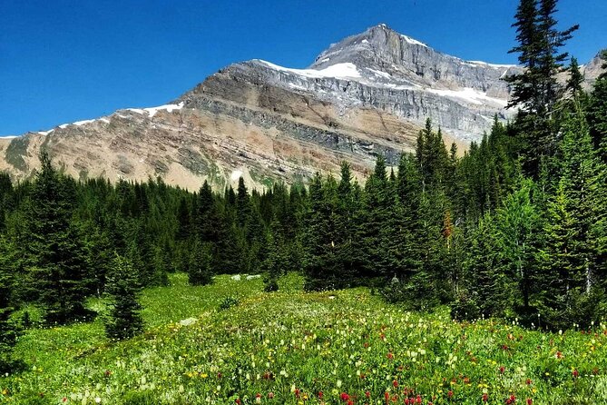 Exclusive Skoki Backcountry Guided Hiking in Lake Louise with Van Shuttle - Who Should Book This (and Who Might Feel Frustrated)