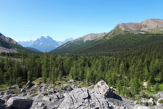Exclusive Skoki Backcountry Guided Hiking in Lake Louise with Van Shuttle - The Ride In: What the Fire Road Access Really Does for You