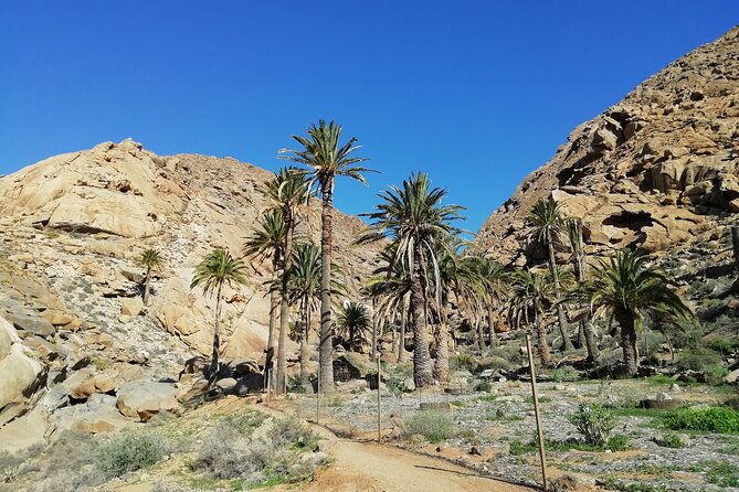 Excursion to Ajuy Caves with a secret Las Penitas canyon Hike - Barranco de las Peñitas: why this hike feels different