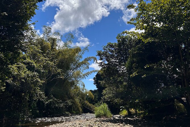 Explore El Yunque: Hiking, Swings & Waterslide (Small Group) - What to Pack: Shoes Decide Whether You Smile or Suffer