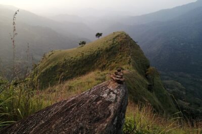 Explore the best of Ella. Hiking, waterfalls and cultural tour - Nine Arches Bridge by train: the view most people miss