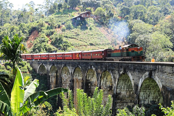 Explore the best of Ella. Hiking, waterfalls and cultural tour - Rice farms, waterfalls, and lunch that doesn’t feel like an afterthought