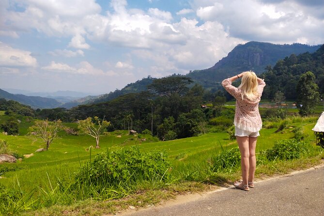 Explore the best of Ella. Hiking, waterfalls and cultural tour - Price and logistics: what $76 gets you in real terms