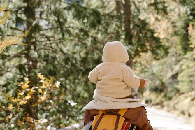 Family-Friendly Nature Hike around the Big Bear Valley - Getting started: Skyline Trail 2N10 and Mill Creek Rd