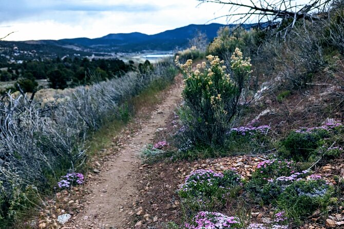 Family-Friendly Nature Hike around the Big Bear Valley - Wildlife lessons that don’t require a telescope