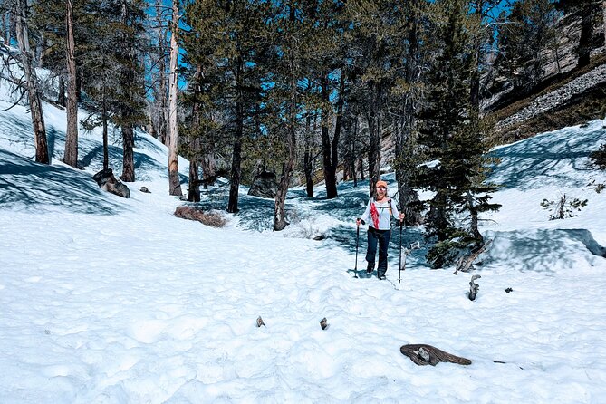 Family-Friendly Nature Hike around the Big Bear Valley - The cozy pause: hot chocolate at the higher point