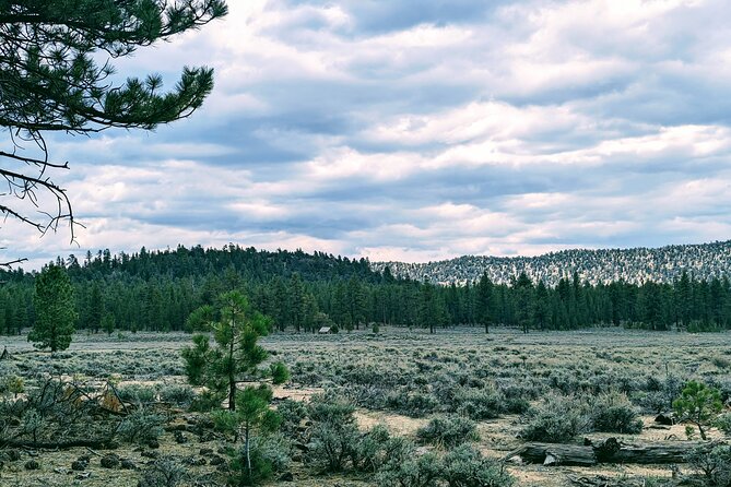 Family-Friendly Nature Hike around the Big Bear Valley - Stroller, seniors, and mixed ability groups