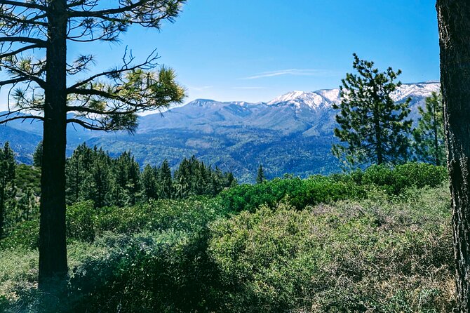Family-Friendly Nature Hike around the Big Bear Valley - Views and Big Bear Lake moments
