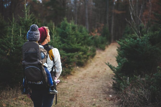 Family-Friendly Nature Hike around the Big Bear Valley - What 90 minutes feels like on this family hike