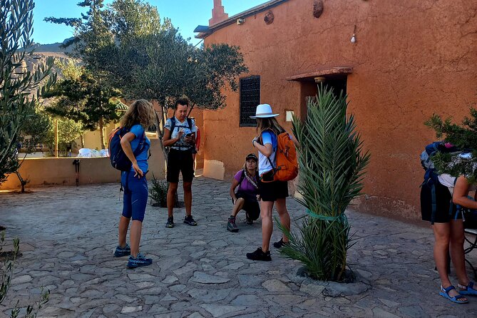 Fint Oasis Private Day Hike - Fint Oasis near Ouarzazate: why this hike feels different