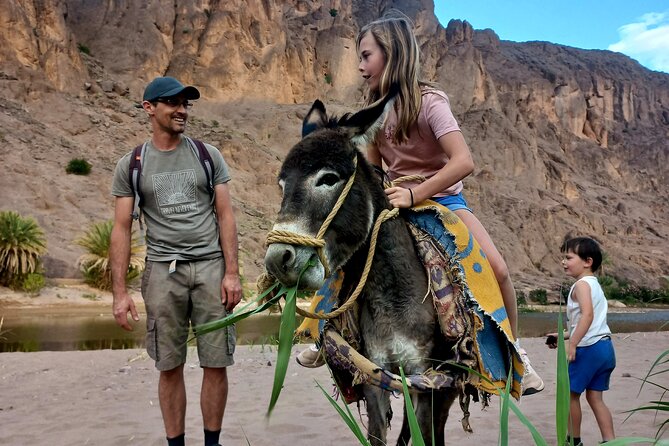 Fint Oasis Private Day Hike - Follow the wadi: the natural corridor between mountains