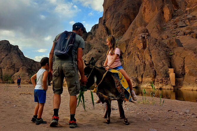 Fint Oasis Private Day Hike - Date palms and the oasis microclimate you can actually feel