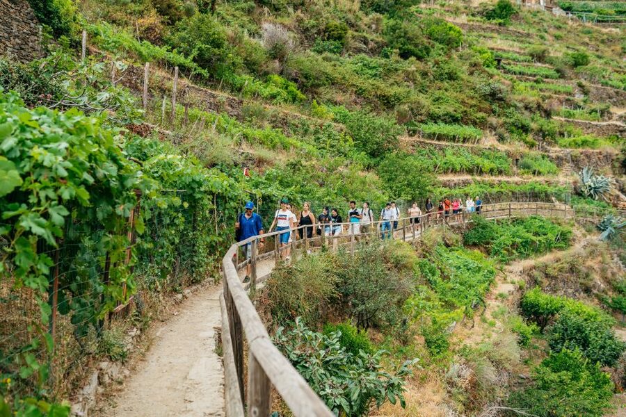 Florence: Cinque Terre Day Trip with Optional Hike - Key moments that make this day trip work