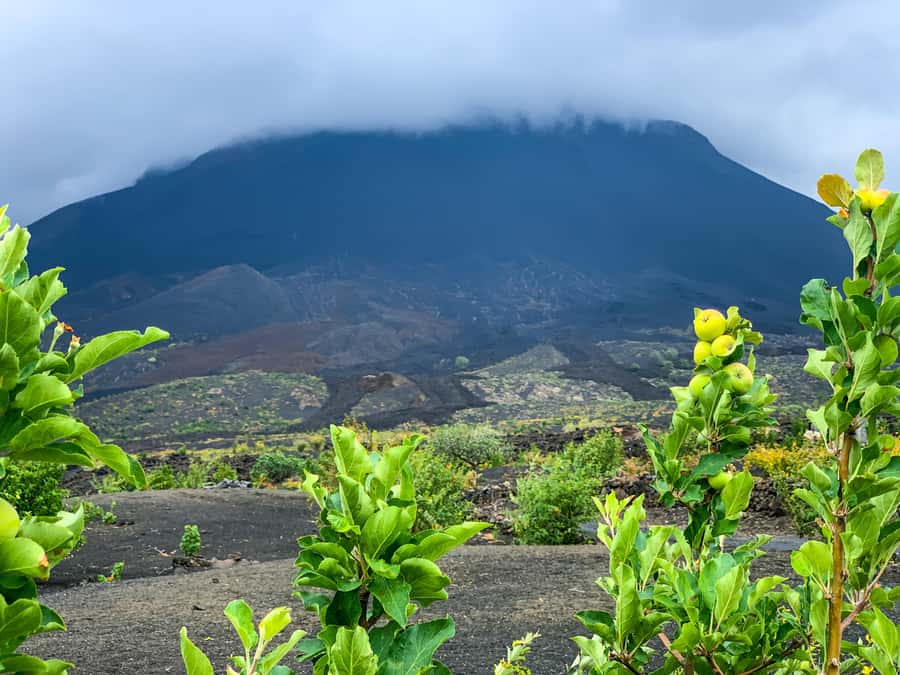 Fogo Island: Pico do Fogo Volcano Summit Hike - Key things to know before you go