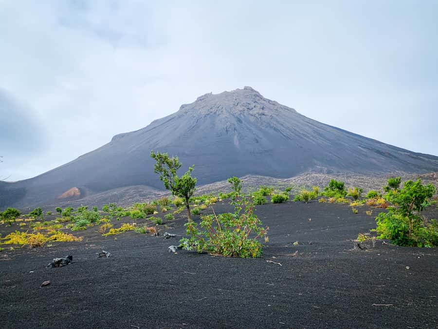 Fogo Island: Pico do Fogo Volcano Summit Hike - Pico do Fogo: why this hike is such a big deal