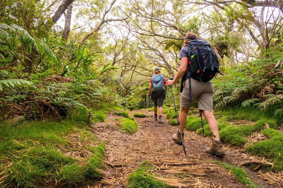 Forest Bélouve: Trou de Fer Weekly Group Hike in French - Key Things You’ll Remember From This Trou de Fer Hike