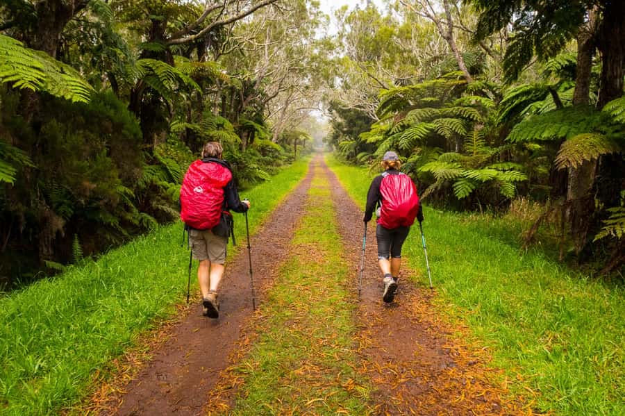 Forest Bélouve: Trou de Fer Weekly Group Hike in French - What to Bring So the Day Feels Easy