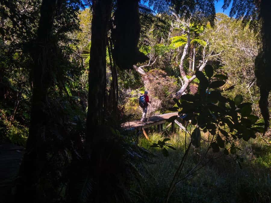 Forest Bélouve: Trou de Fer Weekly Group Hike in French - Who This Hike Suits Best (and Who Should Skip It)