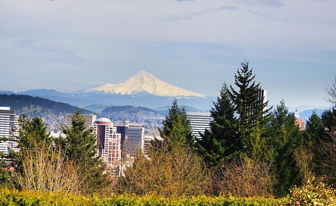 Forest Park Urban Hiking Tour, Portland - Key highlights to know before you go
