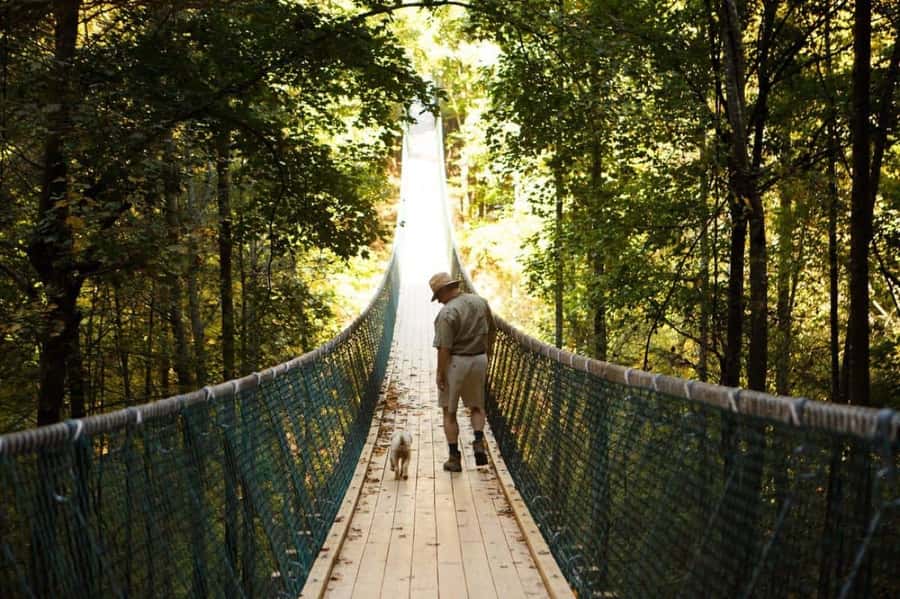 Foxfire Mountain: Hiking & Swinging Bridge Family Adventure - Entering Foxfire Mountain: That Swinging Bridge Feeling Right Away