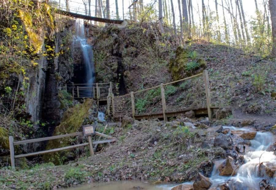 Foxfire Mountain: Hiking & Swinging Bridge Family Adventure - Price and Value: What $27 Gets You (and What It Doesn’t)