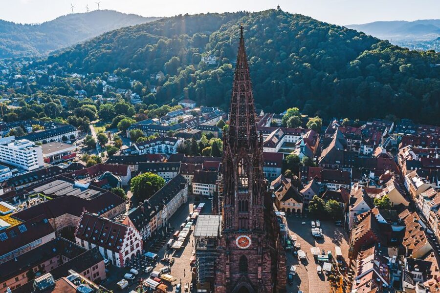 Freiburg: Veni, vidi, vino - wine hike and tasting - Freiburg’s Schlossberg: the view that makes the walk worth it