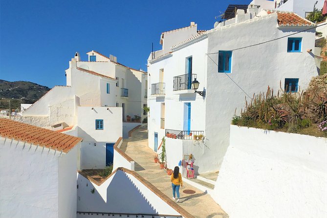 Frigiliana Small-Group Hike and Wine Tasting Tour from Malaga - A Frigiliana day trip that actually feels rural