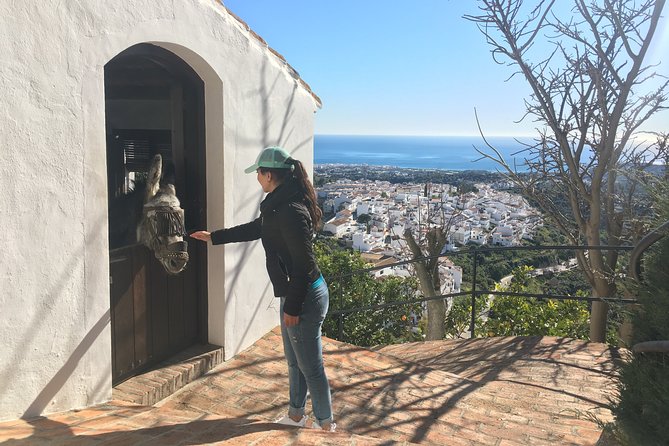 Frigiliana Small-Group Hike and Wine Tasting Tour from Malaga - The one tricky section: short water contact and shoe choice