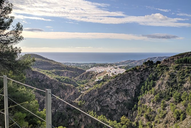 Frigiliana Small-Group Hike and Wine Tasting Tour from Malaga - Wine tasting in a cellar: a local finish that fits the day