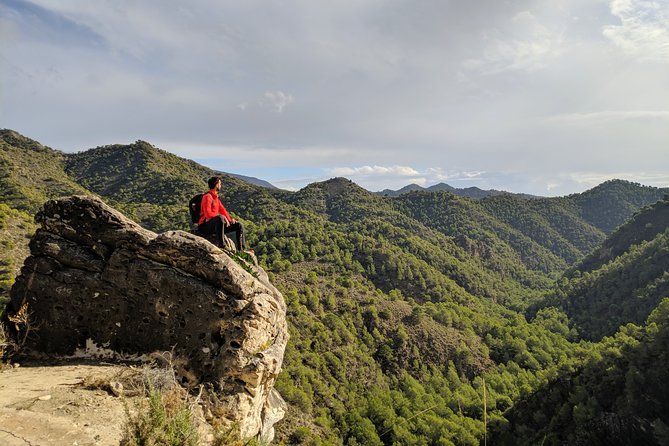 Frigiliana Small-Group Hike and Wine Tasting Tour from Malaga - Small-group pace: why max 8 travelers changes the whole feel