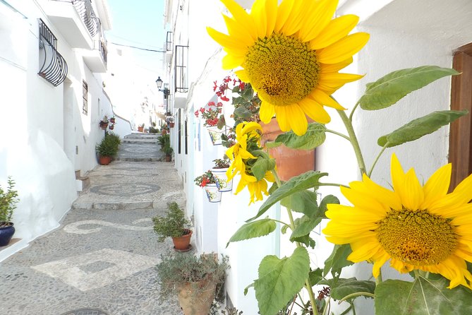Frigiliana Small-Group Hike and Wine Tasting Tour from Malaga - Price and value: what $65.90 buys you