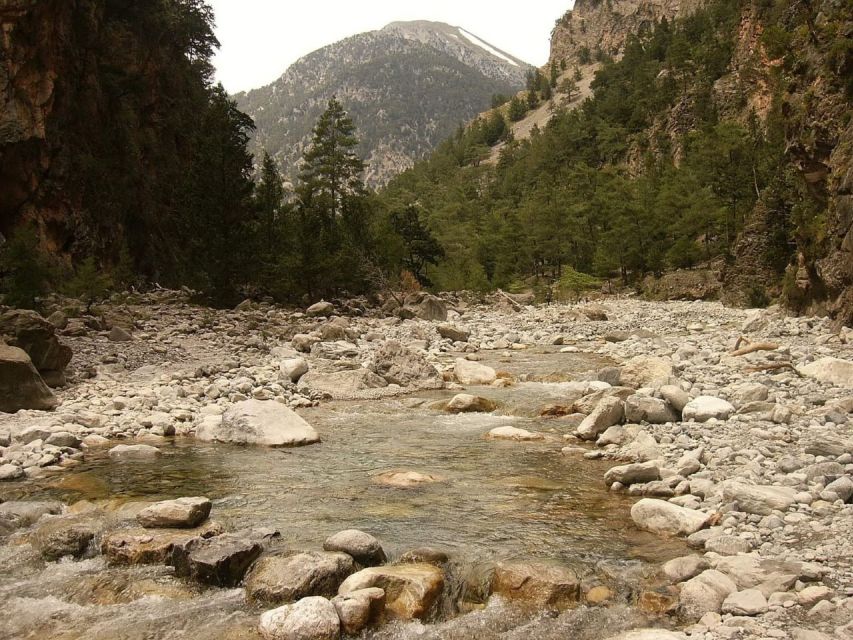 From Agia Galini/Matala: Samaria Gorge Hiking Tour - Key highlights you’ll actually care about