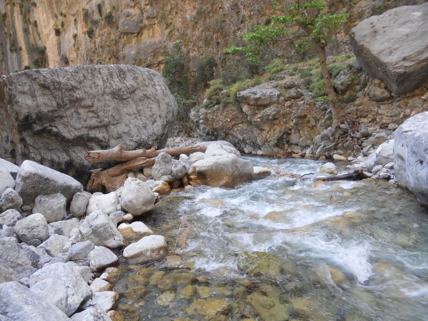 From Agia Galini/Matala: Samaria Gorge Hiking Tour - Through the gorge: rocky steps, rest stops, and nature you can spot