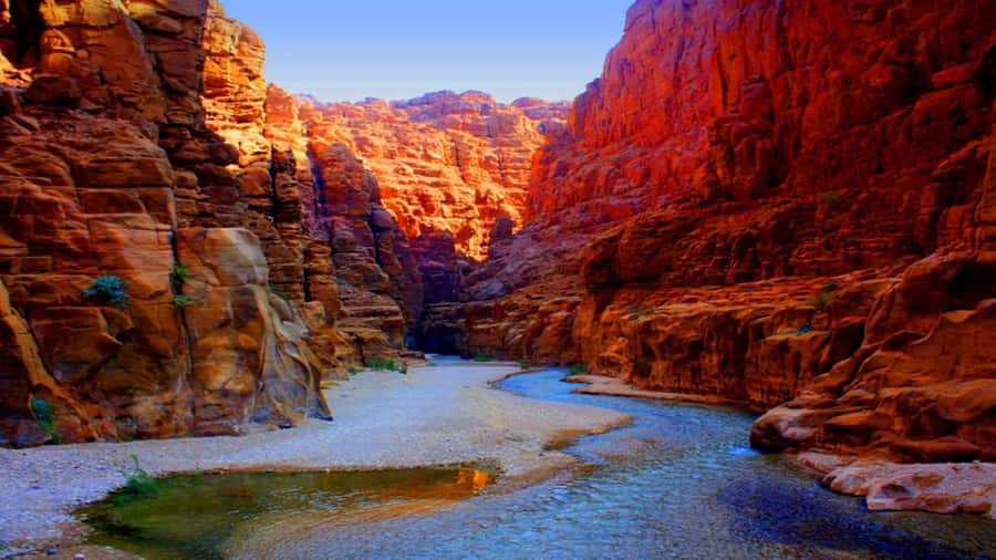 From Amman: Wadi Mujib Siq Trail Private Hiking Tour - Why Wadi Mujib feels like a different world