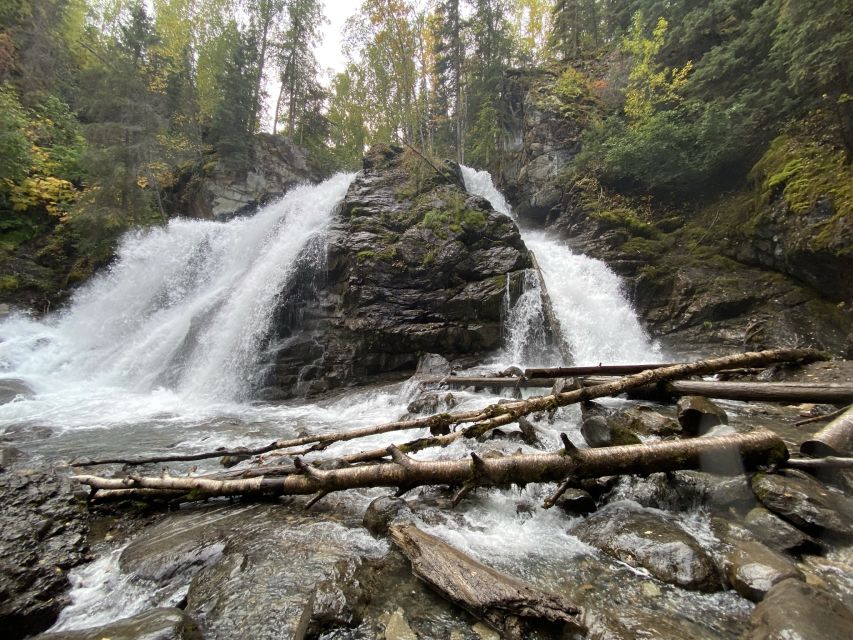 From Anchorage: Valley and Forest Hike with Naturalist Guide - Key highlights to plan for