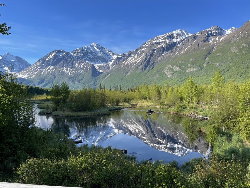 From Anchorage: Valley and Forest Hike with Naturalist Guide - Why this Eagle River hike feels like the real Chugach