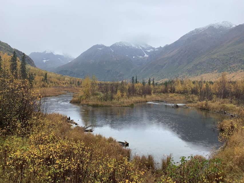 From Anchorage: Valley and Forest Hike with Naturalist Guide - Wildlife watching: exciting, sometimes tense, always managed