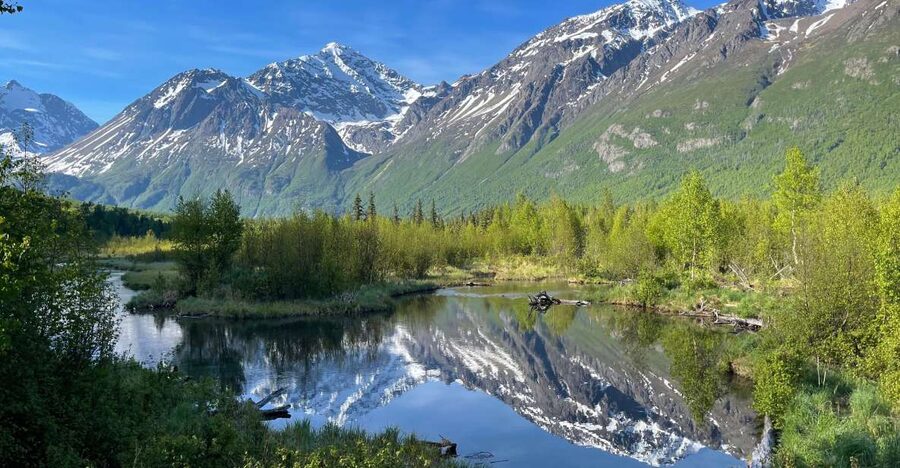 From Anchorage: Valley and Forest Hike with Naturalist Guide - Barbara Falls: the photo stop that also teaches you to look