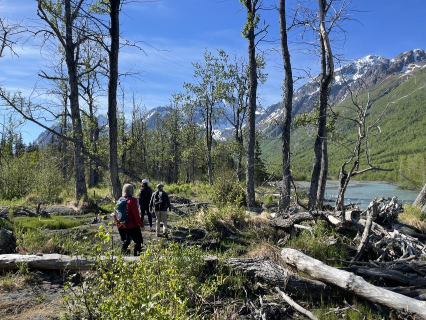 From Anchorage: Valley and Forest Hike with Naturalist Guide - Price and value: what $179 includes and why it’s fair