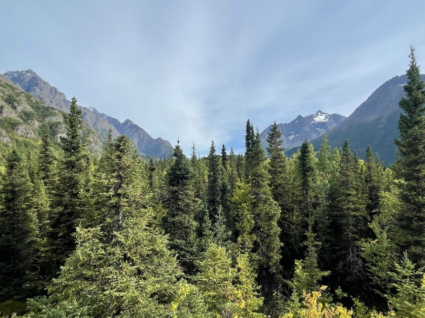 From Anchorage: Valley and Forest Hike with Naturalist Guide - How the 5 hours actually break down on the trail