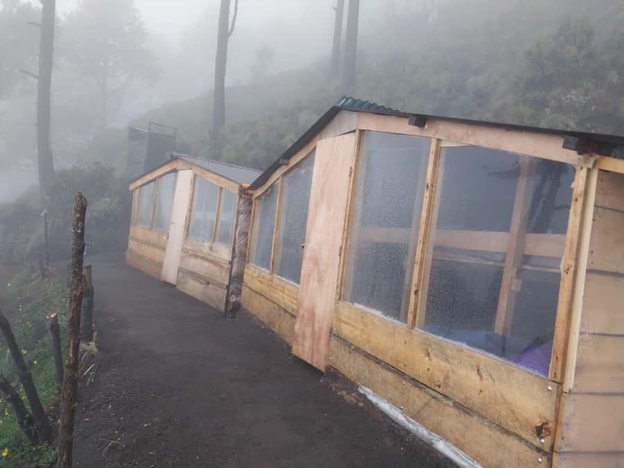 From Antigua: 2-Day Acatenango Volcano Hiking with Guide - Group pace, altitude, and safety on steep volcanic trails