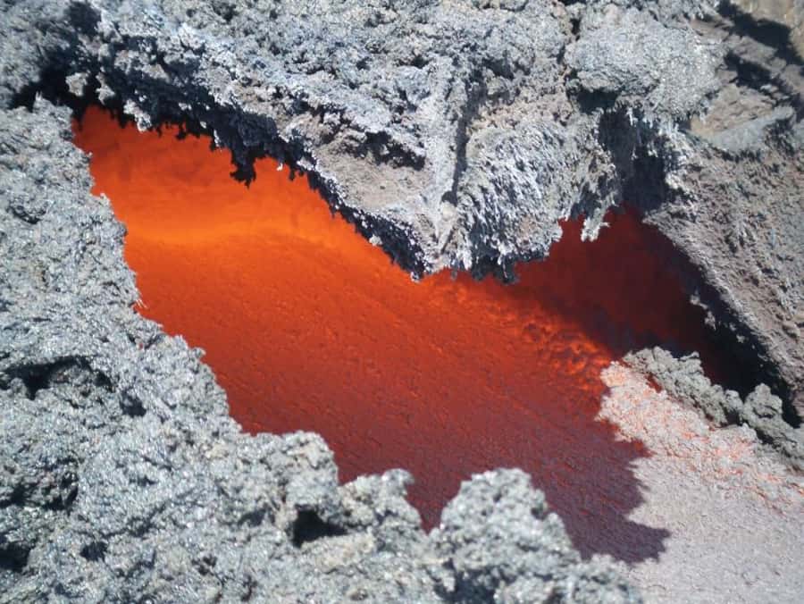 From Antigua: Pacaya Volcano Day Hike - Best Time: Morning Hike vs Sunset Hike