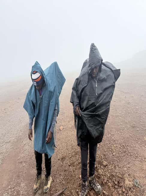 From Arusha/Moshi: Kilimanjaro Hike Marangu Route Day Trip - Price and logistics: what your $101 really covers