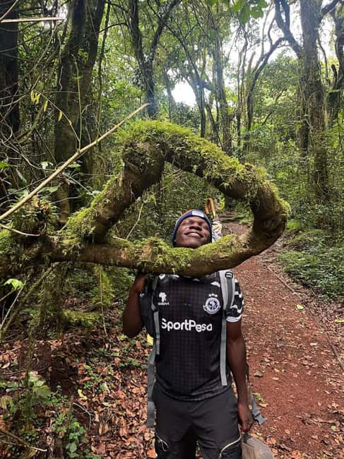 From Arusha/Moshi: Kilimanjaro Hike Marangu Route Day Trip - Who should book this day hike from Arusha or Moshi