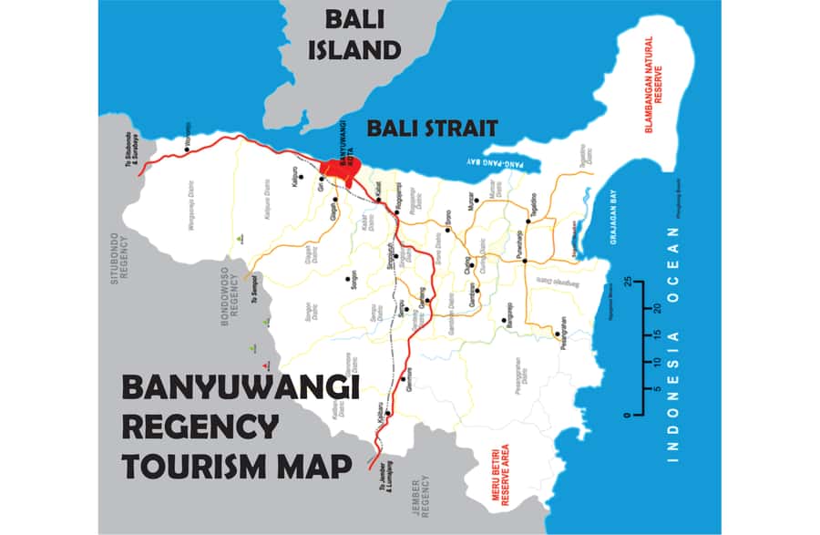 From Bali or Banyuwangi: Ijen Crater Sunrise Hike - Key Points You’ll Care About