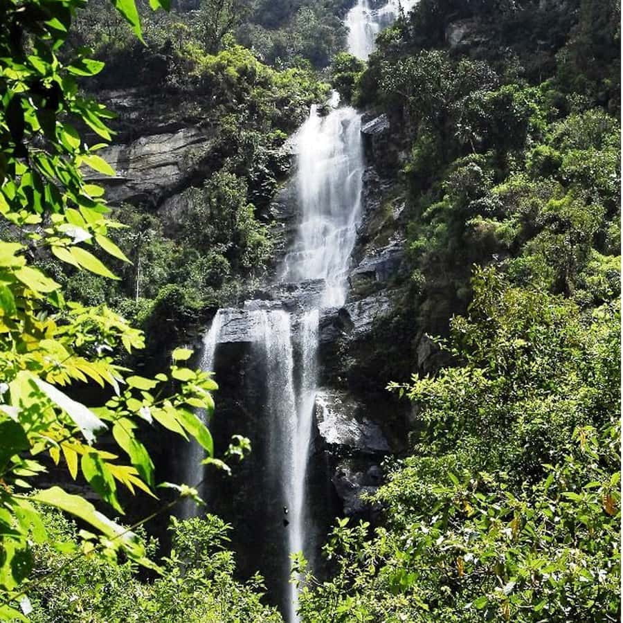 From Bogota: La Chorrera Waterfall Guided Hike - What the hike feels like: viewpoints, birds, and forest changes